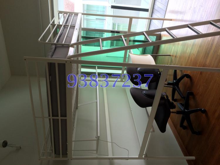 Sommerville Regency (D13), Terrace #87990732